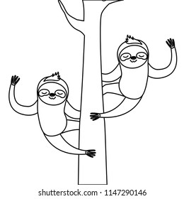 wild sloths couple in tree