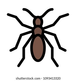 Wild Small Ant
