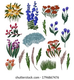 Wild small flowers isolated. Textile fashion print.