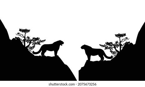 wild snow leopard standing on pine tree covered rock cliff - black and white vector silhouette scene with irbis cat