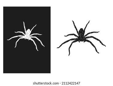 Wild spider in grunge style. Vector illustration.
