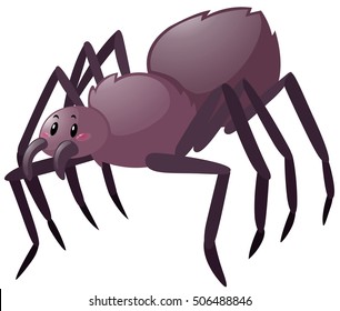 Wild spider on white background illustration