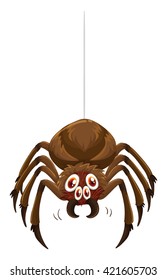 Wild spider and web illustration