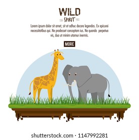 Wild spirit animals