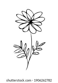 Wild Spring flower like chamomile, vector illustration.Simple cartoon line art. Hand drawn, minimalistic black flower on a white background. Isolated. Logo, emblem, sign, icon.