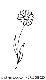 Wild Spring flower like chamomile, vector illustration. Simple cartoon line art. Hand drawn, minimalistic black flower on a white background. Isolated. Logo, emblem, sign, icon.
