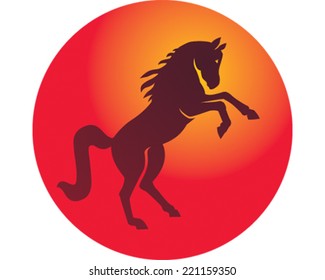 Wild Stallion
