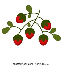 Wild strawberries flat illustration. Home, travel and lifestyle series.