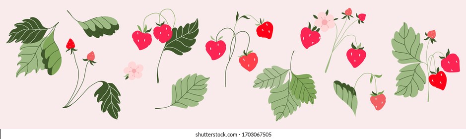 Wild strawberries isolated illustration set. Small red berries, flowers and green leaves. Strawberries. Forest berries. Modern hand-drawn vector illustration clip art collection for web, print design.