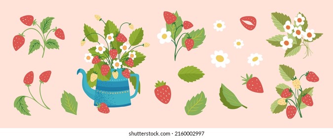 Wild strawberries isolated illustration set. Strawberries. Forest berries. Strawberries flowers and green leaves. Modern hand-drawn vector illustration clip art collection for web, print design