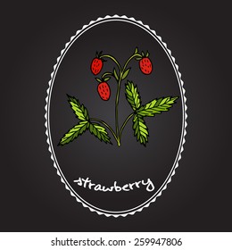 Wild strawberry berries and leafs