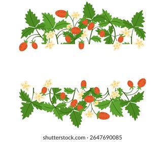 Wild strawberry border design with red berries, green leaves, and white flowers in flat style illustration. Represents nature, freshness, and organic summer concept