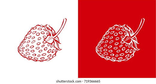 wild strawberry drawing by hand on a white ornaments, vector image