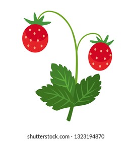 wild strawberry flat simple illustration. Kitchen cooking - vegetables and fruits series.