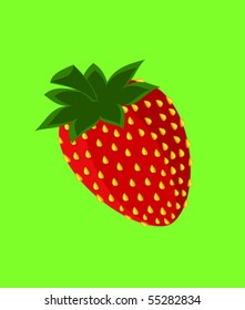 Wild strawberry fruit illustration