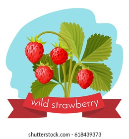 Wild strawberry with green leaves isolated on white background. Ripe healthy organic red berries realistic vector illustration. Nutrition dieting vegetarian fruit, summer dessert