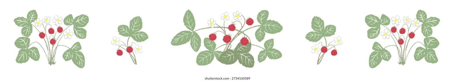 Wild Strawberry Line Divider en Beige