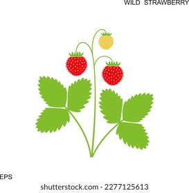 Wild strawberry logo. Isolated strawberry on white background