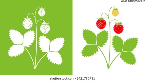 Wild strawberry logo. Isolated strawberry on white background
