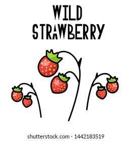 
Wild Strawberry. Vector illustration. Useful diet berries