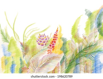 Wild summer grass vector
