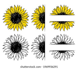 Wild sunflower set, flower frame, vector illustration isolated on white background