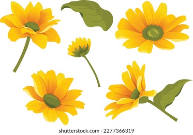 Wild sunflower set. Yelow mini floral