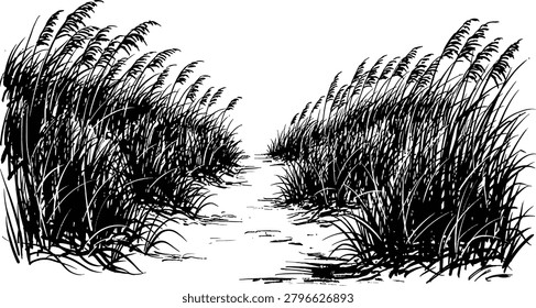 Wild tall grass pathway illustration, natural field vegetation landscape line art, countryside meadow plants vector isolated background