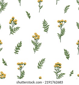 Wild tansy flowers pattern. Tanacetum vulgare texture. Flowering herbaceous medicinal plant, yellow herbs and flowers. Flat vector background
