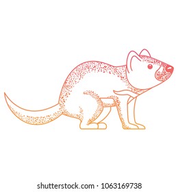 wild tasmanian devil creature