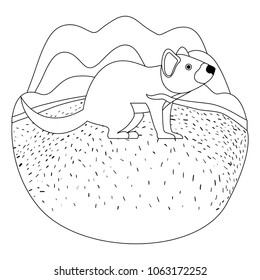 wild tasmanian devil creature in the camp