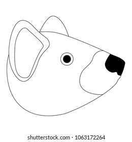 wild tasmanian devil creature head