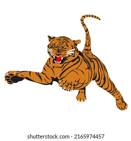 Wild Tiger attack and hunts. Animals of Asia. Panthera tigris. Big cats. Predatory mammals, an extinct animal vector illustration