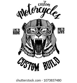 Wild tiger Biker, motorcycle animal. Hand drawn image for tattoo, emblem, badge, logo, patch, t-shirt