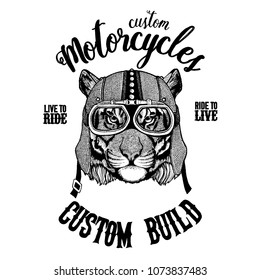 Wild tiger Biker, motorcycle animal. Hand drawn image for tattoo, emblem, badge, logo, patch, t-shirt