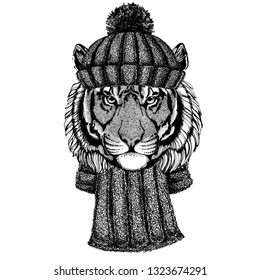 Wild tiger Cool animal wearing knitted winter hat. Warm headdress beanie Christmas cap for tattoo, t-shirt, emblem, badge, logo, patch