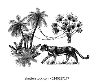 Wild Tiger And Exotic Plants. Tropical Trees. Eastern Landscape. Exotic Nature. Linear Jungle. Hand Drawn Sketch In Vintage Style.