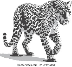 Wild tiger grey shades vector 