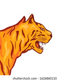 Wild tiger head hand drawn illustration. Exotic wild cat face side view, dangerous tropical predator closeup. Zoo mascot, logotype design element. Dangerous animal, african jungle wildlife