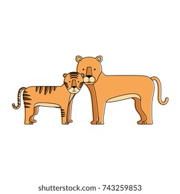 wild tiger and lion