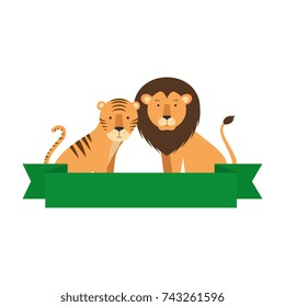 wild tiger and lion