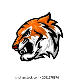 wild tiger logo vector illustration