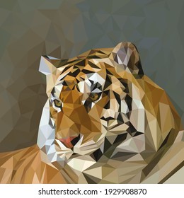 Wild tiger in low poly style