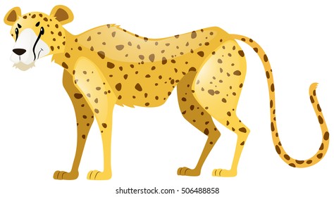 Wild tiger on white background illustration