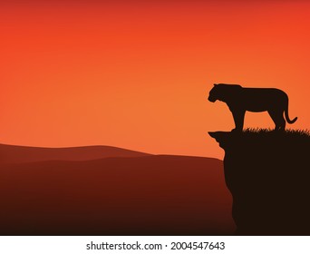 tigre silvestre parado en un alto acantilado al atardecer - visión vectorial de la escena de la dramática naturaleza salvaje
