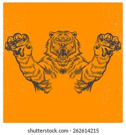 wild tiger vector illustration