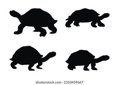 Wild tortoises standing, silhouettes on a white background. Sea creatures and tortoises walking in different positions. Turtle full body silhouette collection. Wild tortoise silhouette bundle.