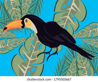 wild toucan bird and tropical leafs pattern vector illustration design