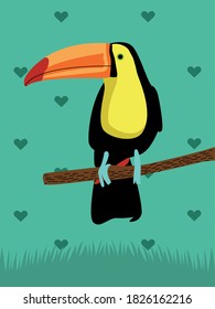 wild toucan exotic bird animal in hearts pattern vector illustration design