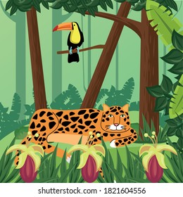 wild toucan exotic bird and leopard vector illustration design